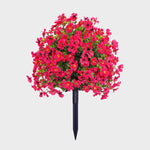 EverBloom | Vedlikeholdsfrie Hageblomster