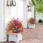 EverBloom | Vedlikeholdsfrie Hageblomster