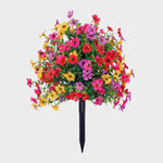 EverBloom | Vedlikeholdsfrie Hageblomster