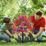 EverBloom | Vedlikeholdsfrie Hageblomster