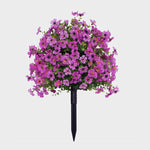 EverBloom | Vedlikeholdsfrie Hageblomster