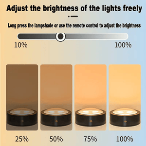 Artwork Light™ | Få kunstverkene dine til å skinne!