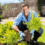 2x Ultra Strong Soil Activator™ | Jordaktivator