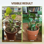 2x Ultra Strong Soil Activator™ | Jordaktivator