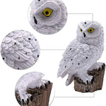 GlowOwl | Magisk Solcellelampe med Ugle