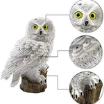 GlowOwl | Magisk Solcellelampe med Ugle