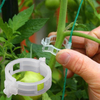 Ultra Smart Plant Grips™ | Holder plantene stabile!