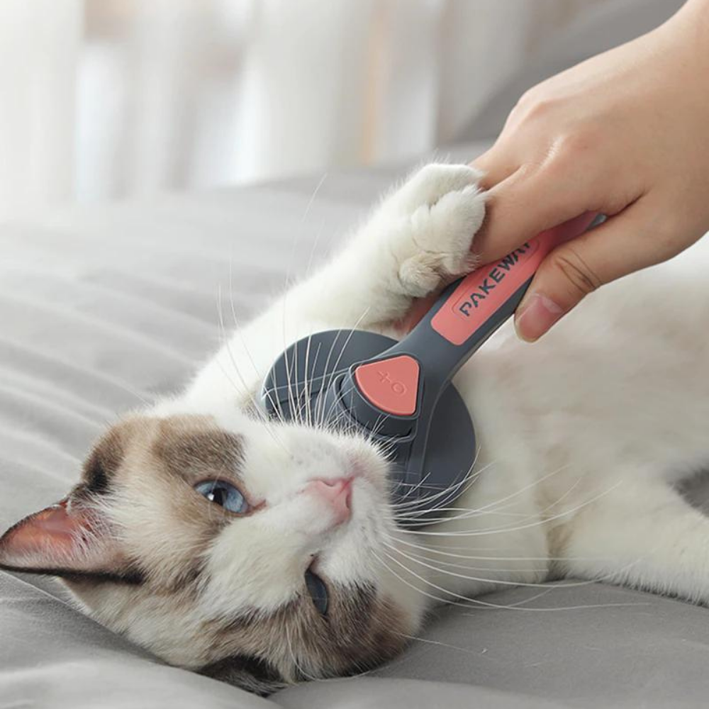 Premium Pet Brush™ | Smertefri og herlig masserende